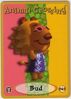 E-Card de Surfleo
