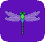 Darner dragonfly (Wild World).png