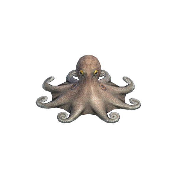 Octopus (deep-sea creature) | Animal Crossing Wiki | Fandom