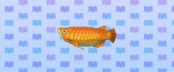 Arowana