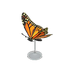 NH-Furniture-Monarch butterfly model.png