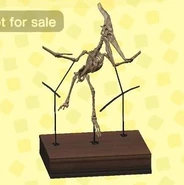 Ptera body in catalog in New Horizons