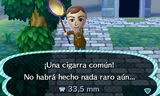 Cazando una cigarra común en New Leaf