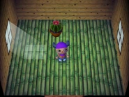 Maison Tonton-DnMe+.png (720 kio) La maison de Tonton dans Dōbutsu no Mori e+