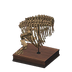 NH-Furniture-triceratorso.png