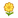 NH-yellow cosmos-icon