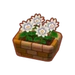 PC-FurnitureIcon-potted white dahlias.png