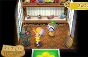 Inside garden shop