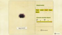 NH-encyclopedia-Sea urchin