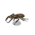 NH-Furniture-Miyama stag model.png