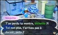 Bichette.png (113 kio) Ninjette parlant au joueur dans New Leaf