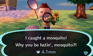 Mosquito in New Leaf