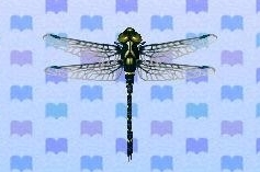 animal crossing new leaf petaltail dragonfly