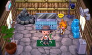 Casa de Liana en Animal Crossing: New Leaf