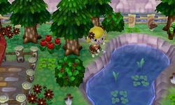 Hacking Animal Crossing Wiki Fandom Hacking Animal Crossing Wiki Fandom