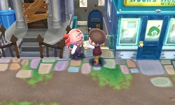Club Lol Animal Crossing Wiki Fandom