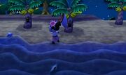 Player catching bugs at the Island at night.