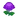 NH-purple mum icon