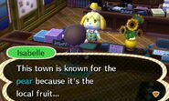 Isabelle telling the player what fruit her town is famous for.