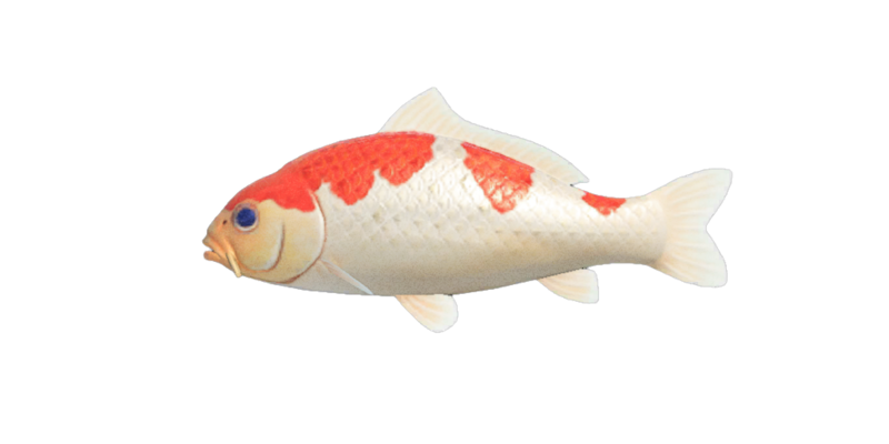 Koi | Animal Crossing Wiki | Fandom