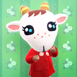 Biquette Animal Crossing Wiki Fandom Biquette Animal Crossing Wiki Fandom