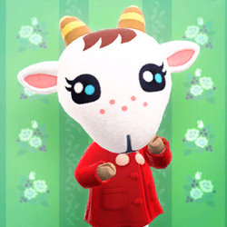 Biquette Animal Crossing Wiki Fandom