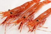 Real sweet shrimp