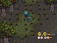 A lot of weeds in Autumn in Animal Crossing.