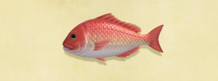 Red snapper, Animal Crossing Wiki