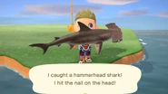 Catching a hammerhead shark in New Horizons