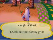 Catching a shark in City Folk