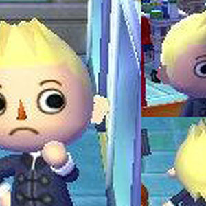 Hair Style Guide Animal Crossing Wiki Fandom