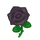 Rose(s) noire(s)
