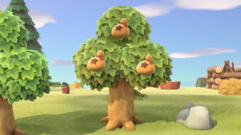 animal crossing money tree pattern