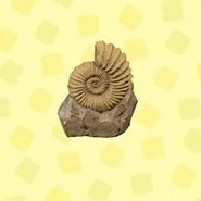 Ammonite in catalog in New Horizons