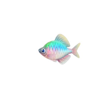 Bitterling Animal Crossing Wiki Fandom