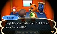 Teddy dans sa tente de camping dans New Leaf