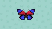 Pocket Camp