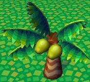 Coconut Palm in Animal Crossing City Folk