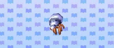 Hermit crab | Animal Crossing Wiki | Fandom Hermit crab | Animal Crossing Wiki | Fandom