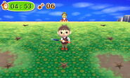 Various cracks on the ground during the Item-Matching Tour in New Leaf