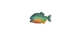 NH-Poisson-Piranha