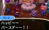 Rasher ACNL Villager Birthday