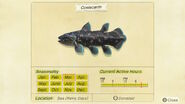 Coelacanth Critterpedia Entry in New Horizons.