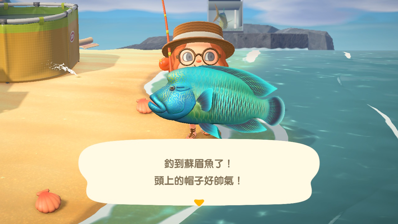 蘇眉魚 動物森友會wiki Fandom 蘇眉魚 動物森友會wiki Fandom