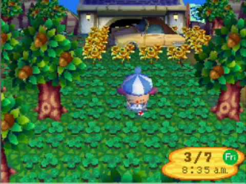 animal crossing wild world cheat