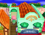 La devanture de l'Esthétichien dans New Leaf