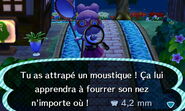 Le joueur ayant attrapé un moustique dans New Leaf