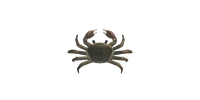 Mitten Crab NH