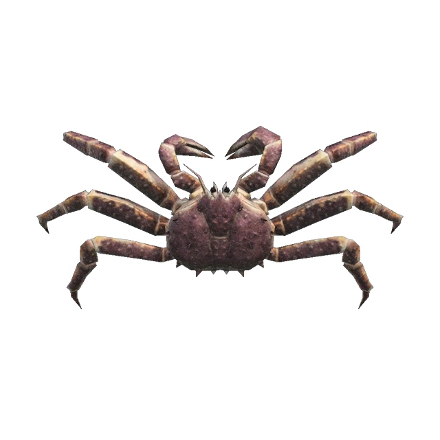 Crabe Royal Animal Crossing Wiki Fandom